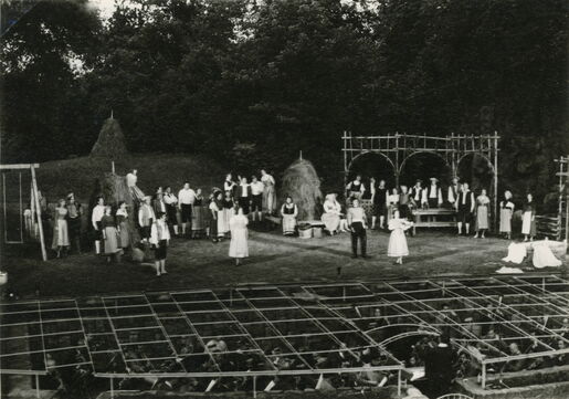 Der Liebestrank – Der Liebestrank – Handlung